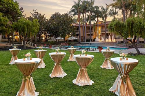 喜来登圣何塞酒店 喜来登圣何塞酒店