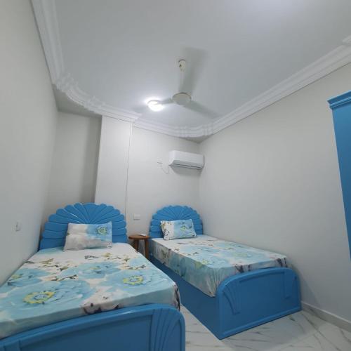 Lareen's apartment in El Quseir