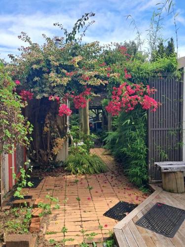 Garden, Secret Cottage in Waitara