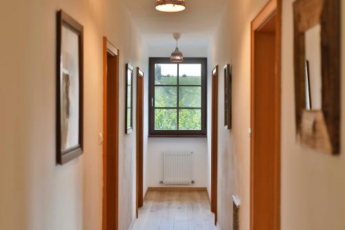 Arzenhof, Baron Di Pauli