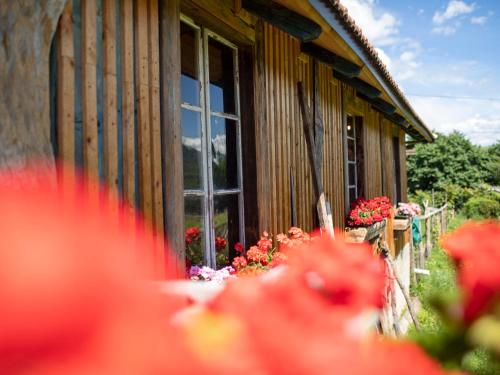 Arzenhof, Baron Di Pauli