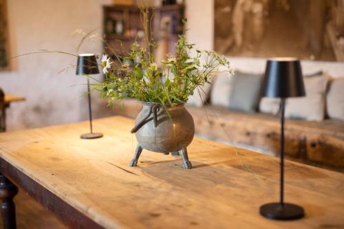 Arzenhof, Baron Di Pauli