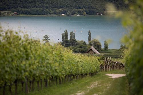 Arzenhof, Baron Di Pauli