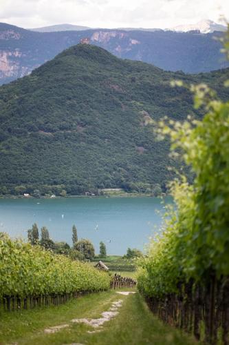 Arzenhof, Baron Di Pauli