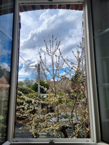 View, Le Gite du Cerisier in Chateau-Renard