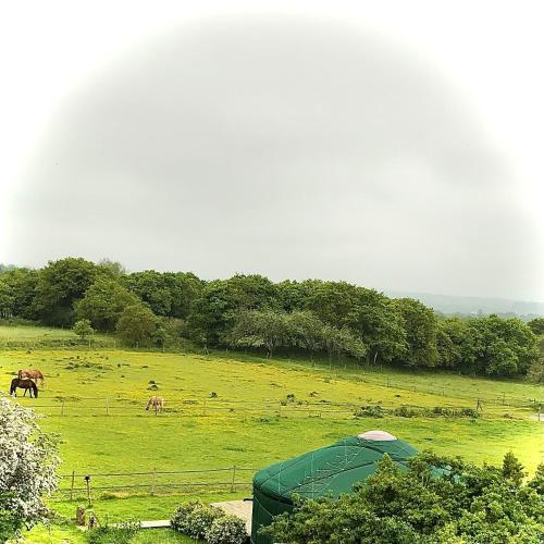 Yourte Steredenn gîte à louer Pluzunet