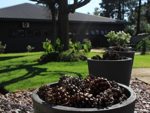 Vista ORT, Kempton Park