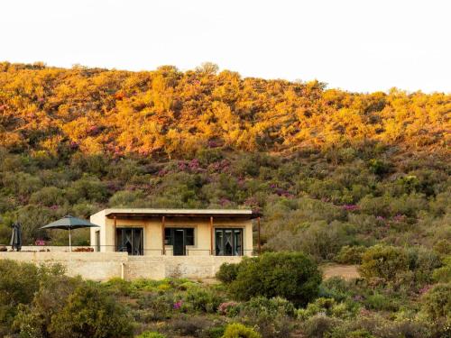 Karoo 62 Escapes Karoo 62 Escapes