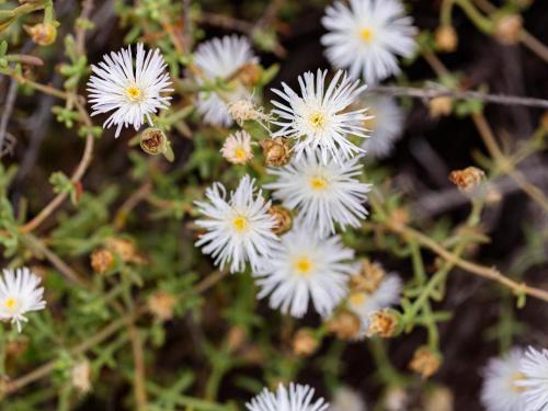 Karoo 62 Escapes Karoo 62 Escapes