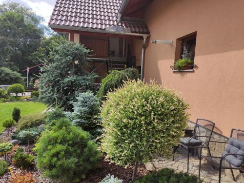 Ubytování V Hoře u Telče - Mrákotín (Ubytovani V Hore u Telce - Mrakotin) in ฮอตกา