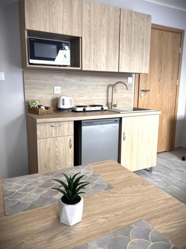 Apartamenty Wilczyńskiego (Apartamenty Wilczynskiego) in 奧爾茲廷市中心