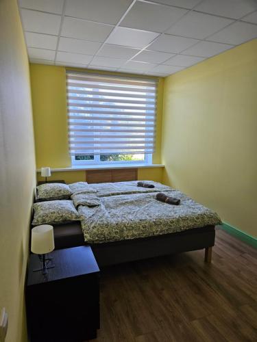 Rojas kuģu piestātne (Rojas kugu piestatne) in Ruoja