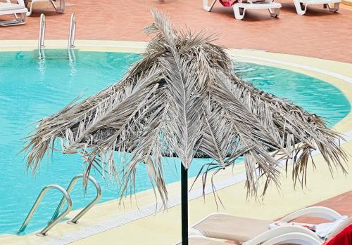 Amazing Complex Costa Adeje Pool view & Relax, Tenerife