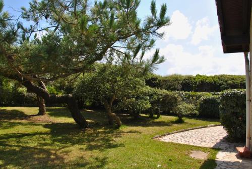 DUNES - Villa Patio Avec Jardin - proche Plage de la Gravière, Soorts-Hossegor (foto 9)