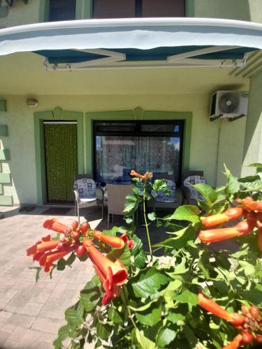 Apartment Kolonija