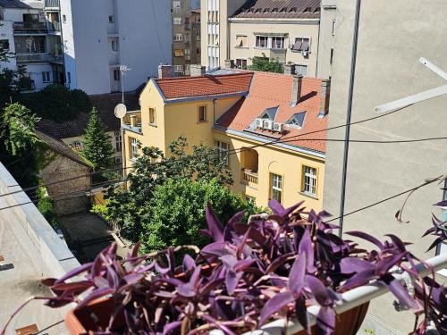 Apartman Didi - image 2
