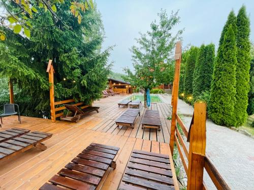 Pensiunea Ioana in Borsa