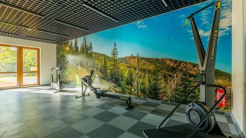 ROYAL APARTS Green Park Resort VIP z basenami, saunami, jacuzzi i siłownią, Szklarska Poręba (foto 8)