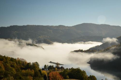 Planinska kuća Bubi - Tara, Zaovine. (Planinska kuca Bubi - Tara, Zaovine.) in Jezdici
