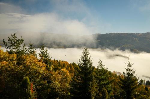 Planinska kuća Bubi - Tara, Zaovine. (Planinska kuca Bubi - Tara, Zaovine.) in Jezdici