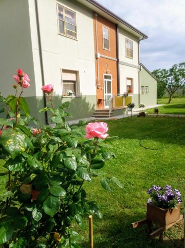 Art b&b Gli Aironi in Pomposa