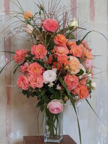 KOKOPEPINO in โปลิชกา