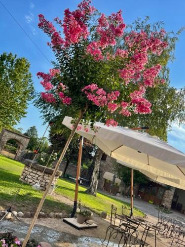 Guesthouse Corte Marzago - adults friendly