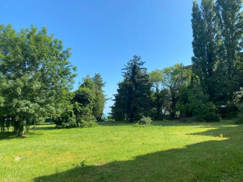 tuin, Aranypart Hotel Siofok in Siofok