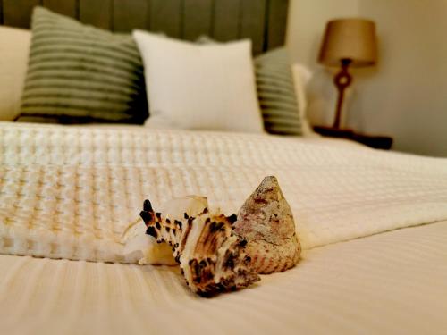 Seashell luxury apartment 2