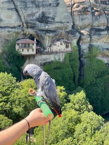 Mpoufidis Rock House Meteora – Kalampaka, KY