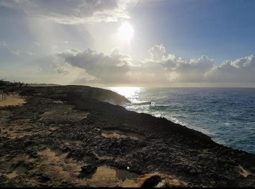 Pema's Treasure in San Antonio (PR)