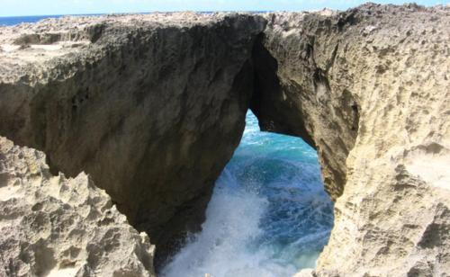 Pema's Treasure in San Antonio (PR)