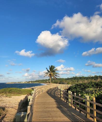 Pema's Treasure in San Antonio (PR)