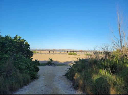 Pema's Treasure in San Antonio (PR)