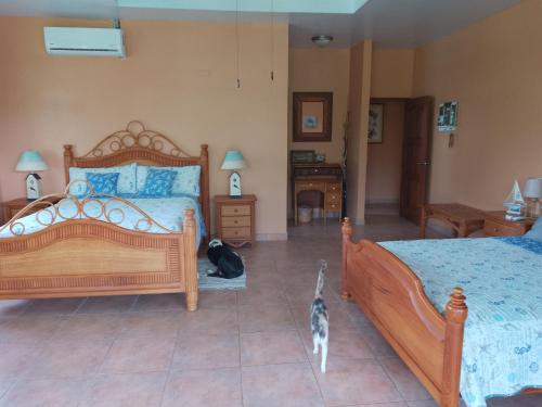 2 queen beds, 1 twin bed