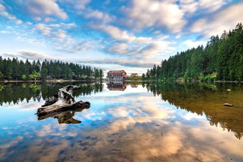 Berghotel Mummelsee 3
