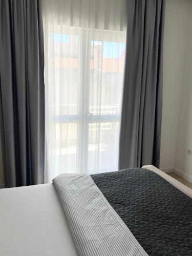 One-Bedroom Apartment image 4