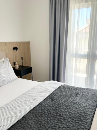 One-Bedroom Apartment image 5
