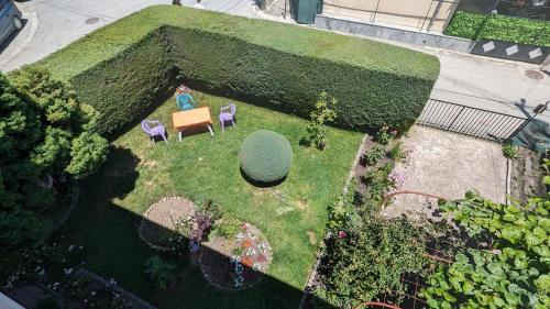 Garden, Golden Age Hostel in Ohrid