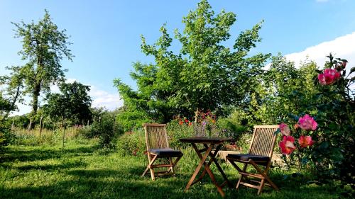 Ferienwohnung Butterbirne in Niedergorsdorf