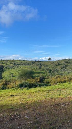 Monte da Marouca-Mont’Argil