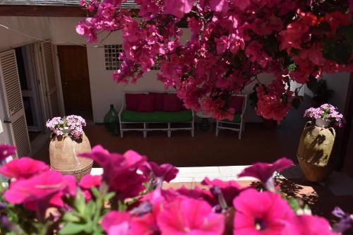 B&B Casabianca Palinuro – Palinuro, UT