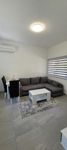 One-Bedroom Apartment image 6