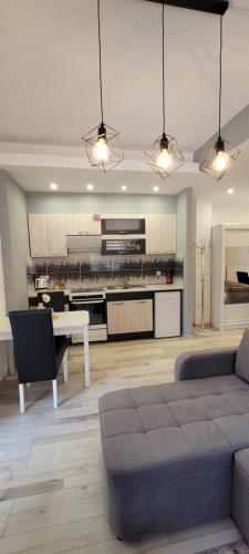 One-Bedroom Apartment image 3