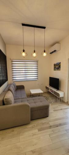 One-Bedroom Apartment image 1
