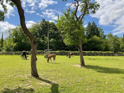 View, Etzauer Muhle im Taunus in Weilrod