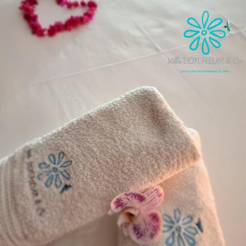 Villa BONHEUR & Co _ Spa in Riviere-Salee