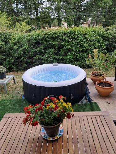 Chambre hôtes jacuzzi climatiseur provence 3