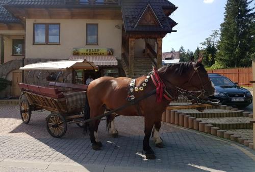Pokoje Gościnne Pod Giewontem, Zakopane (fotografie 5)