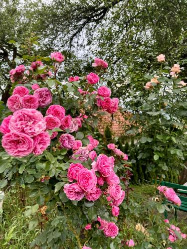 Sarajevo Flower Garden